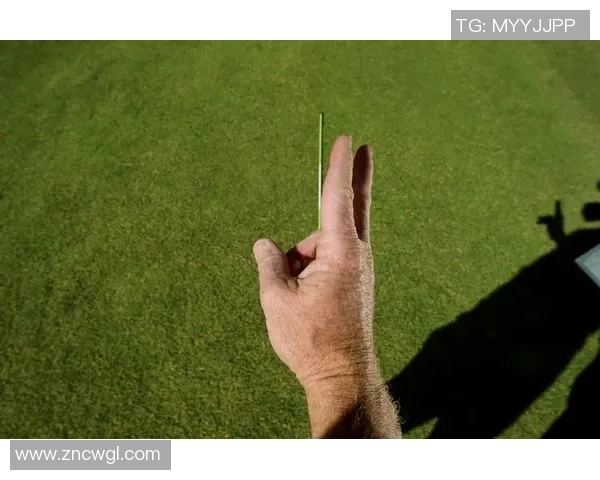 刘磊独家揭秘网球技巧与心得分享助你提升球技的秘诀