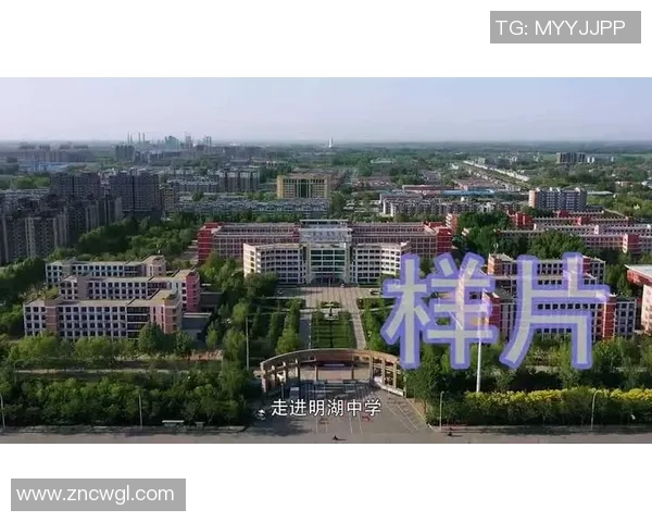 南京排球队的拼搏历程与荣耀时刻全景纪实 南京排球队的拼搏历程与荣耀时刻全景纪实