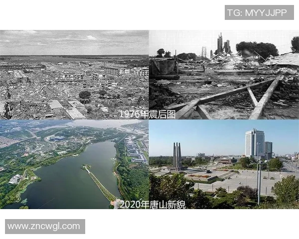 广州排球队的崛起之路：世锦赛背后的奋斗与成长故事