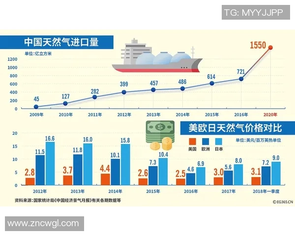 数据分析揭示LNG在全球能源转型中的关键作用与未来发展潜力